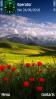 Beautiful Field