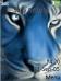 Blue Tiger