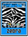Zebra in Blue Bottom Zen 8100/Pearl Theme