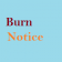 Burn Notice Fan Blog