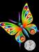 butterfly animated.....