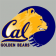 Cal Golden Bears News