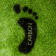 Carbon_footprint