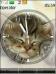 Clock - Cat