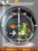 Clock Clock