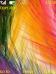 Colorful Feathers