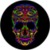 Colorful Skull LWP