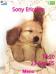 Cute Puppies Cute Puppies