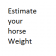 Estimate_Horse_Weight