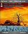 Fire tree Theme Pocket PC