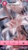 Flower Oil Painting