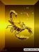 Golden_Scorpion