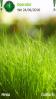 Grass View Hd