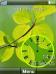 Green Leaf Clock