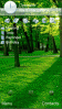 green nature