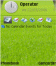 Green Paddy Field Theme Free Flash Lite Screensaver