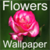 HD Flowers Wallpapers