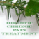 Holistic Chronic Pain Treatment