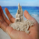 Sand Castle Art