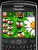 Animated Ladybird Theme for BlackBerry 8700