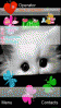 Love kitten animated