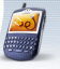 The paramedic's English-Spanish dictionary for BlackBerry