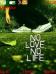 No Love No Life