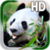 Panda Live Wallpaper HD