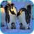 Penguins HD Video Live Wallpaper