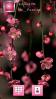 Pink Beauty