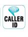 Privus Caller ID for Windows 6 Standard - 12 mo subscription