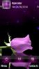 Purple Rose