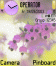 Spring purple flower, theme ui for s60 1.x/2.x phones
