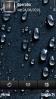 Rain Drops