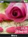 Rose Digital Clock