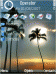 Seaside Coconut Tree Theme Includes Free Flash Lite Screensaver