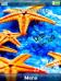 Starfish Digital