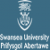 Swansea University Info