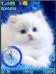 Swf White Cat Clock
