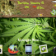 420 Weed Theme for BlackBerry