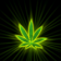 Cannabis Leaf - 5559