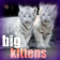 Big Cats (Keys)