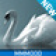 Swan Lake - Enhanced with SVG - Media - Shortcuts