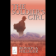 The Soldiers Girl part2 (ebook)