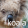 daZOO Koala Theme