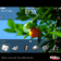 Orange Tree Mediterranean Theme with Amazing Chrome Aspect Icons