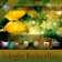 Magic Butterflies OS7 theme by BB-Freaks