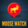 Moose Watch