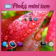 Pink4 mini icon