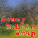 Crazy Bubble Wrap